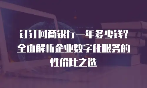 钉钉网商银行一年多少钱？全面解析企业数字化服务的性价比之选