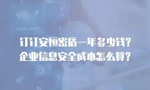 钉钉安恒密盾一年多少钱？企业信息安全成本怎么算？