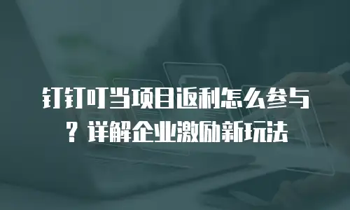 钉钉叮当项目返利怎么参与？详解企业激励新玩法