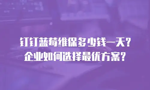 钉钉蓝莓维保多少钱一天？企业如何选择最优方案？