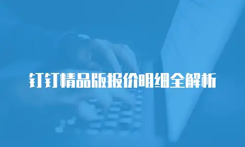 钉钉精品版报价明细全解析