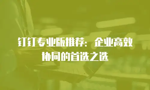 钉钉专业版推荐：企业高效协同的首选之选