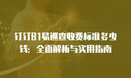 钉钉B1易巡查收费标准多少钱：全面解析与实用指南