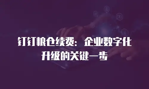 钉钉粮仓续费：企业数字化升级的关键一步