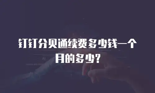 钉钉分贝通续费多少钱一个月的多少？