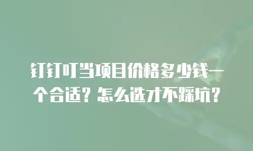 钉钉叮当项目价格多少钱一个合适？怎么选才不踩坑？