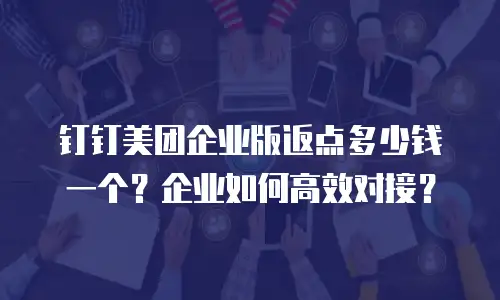 钉钉美团企业版返点多少钱一个？企业如何高效对接？