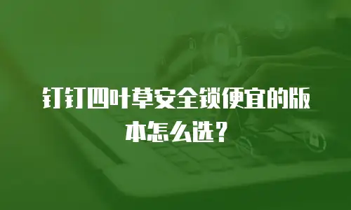 钉钉四叶草安全锁便宜的版本怎么选？
