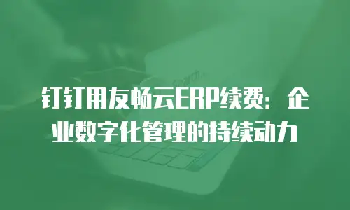 钉钉用友畅云ERP续费：企业数字化管理的持续动力