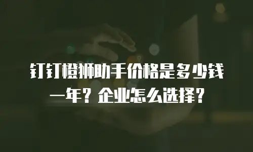 钉钉橙狮助手价格是多少钱一年？企业怎么选择？