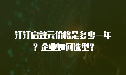 钉钉启效云价格是多少一年？企业如何选型？