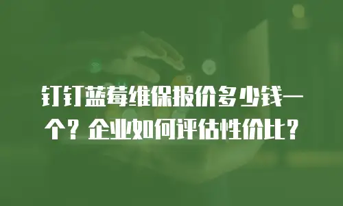 钉钉蓝莓维保报价多少钱一个？企业如何评估性价比？