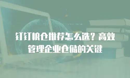 钉钉粮仓推荐怎么选？高效管理企业仓储的关键