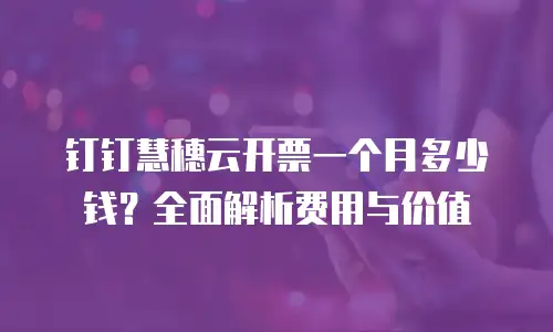 钉钉慧穗云开票一个月多少钱？全面解析费用与价值