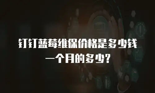 钉钉蓝莓维保价格是多少钱一个月的多少？