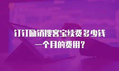 钉钉励销搜客宝续费多少钱一个月的费用？