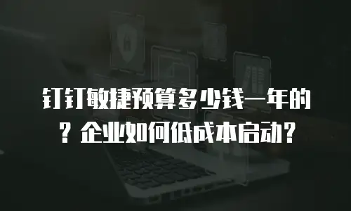 钉钉敏捷预算多少钱一年的？企业如何低成本启动？