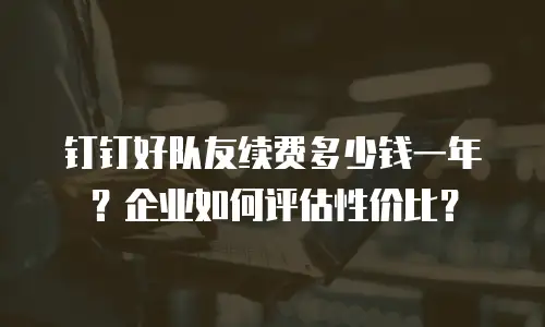 钉钉好队友续费多少钱一年？企业如何评估性价比？