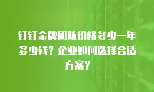 钉钉金牌团队价格多少一年多少钱？企业如何选择合适方案？