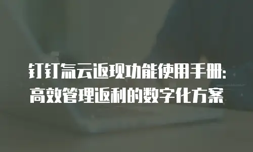 钉钉氚云返现功能使用手册：高效管理返利的数字化方案