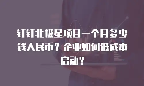 钉钉北极星项目一个月多少钱人民币？企业如何低成本启动？