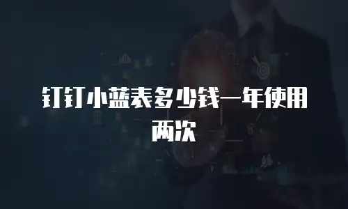 钉钉小蓝表多少钱一年使用两次