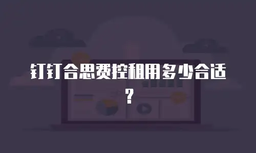 钉钉合思费控租用多少合适？