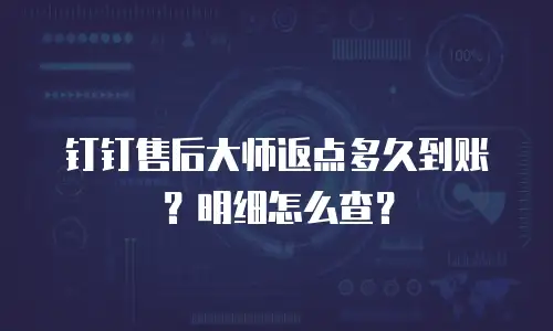 钉钉售后大师返点多久到账？明细怎么查？