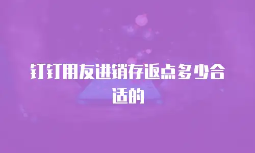 钉钉用友进销存返点多少合适的