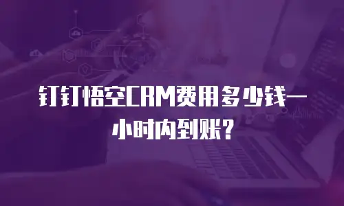钉钉悟空CRM费用多少钱一小时内到账？