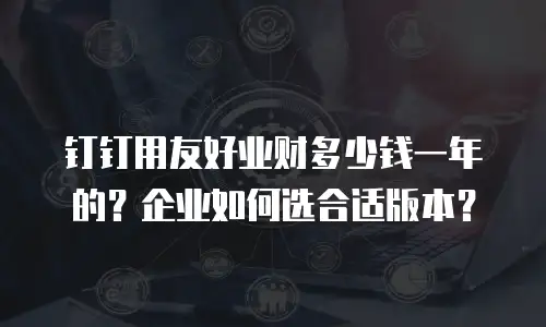 钉钉用友好业财多少钱一年的？企业如何选合适版本？