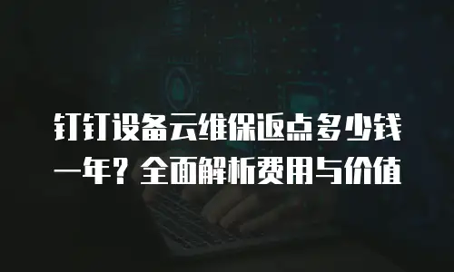 钉钉设备云维保返点多少钱一年？全面解析费用与价值