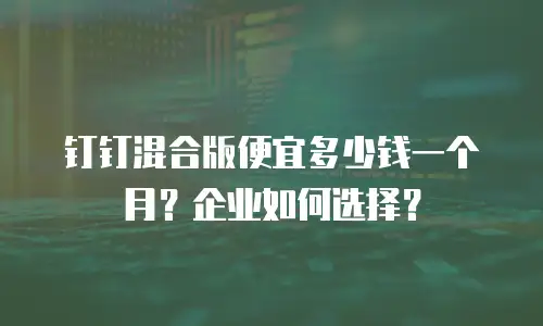 钉钉混合版便宜多少钱一个月？企业如何选择？