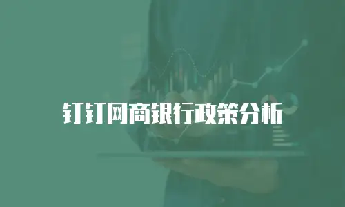 钉钉网商银行政策分析