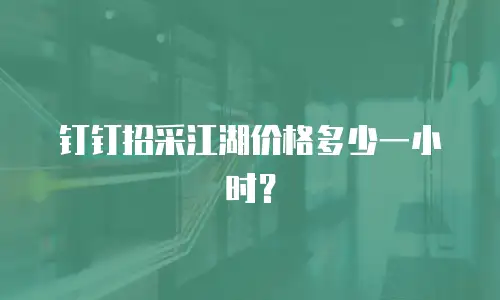 钉钉招采江湖价格多少一小时？