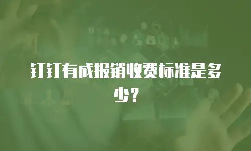 钉钉有成报销收费标准是多少？