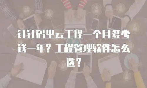 钉钉码里云工程一个月多少钱一年？工程管理软件怎么选？