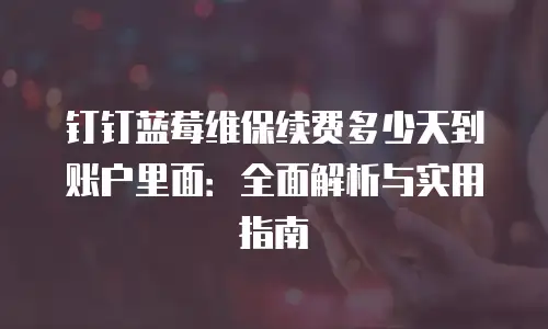 钉钉蓝莓维保续费多少天到账户里面：全面解析与实用指南