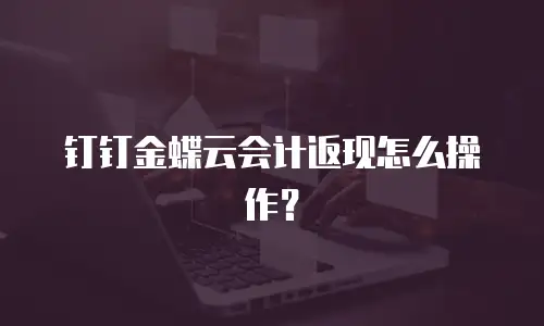 钉钉金蝶云会计返现怎么操作？