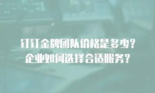 钉钉金牌团队价格是多少？企业如何选择合适服务？
