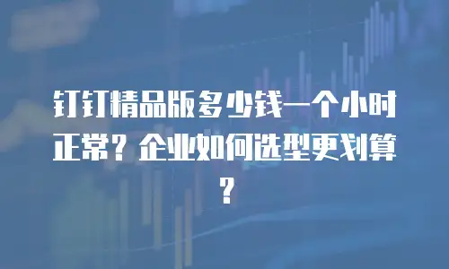 钉钉精品版多少钱一个小时正常？企业如何选型更划算？