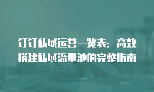 钉钉私域运营一览表：高效搭建私域流量池的完整指南