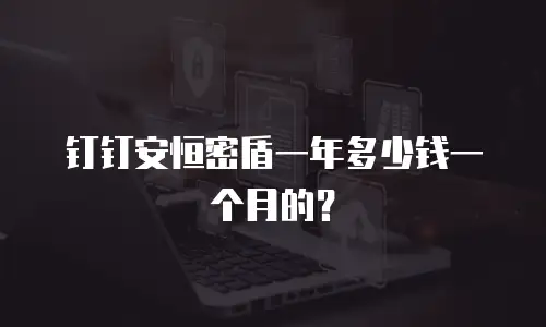 钉钉安恒密盾一年多少钱一个月的？