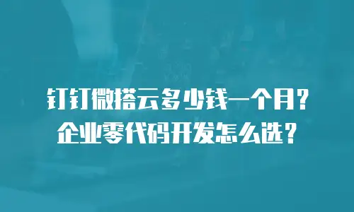 钉钉微搭云多少钱一个月？企业零代码开发怎么选？
