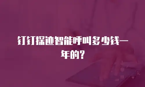 钉钉探迹智能呼叫多少钱一年的？