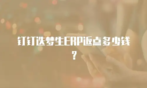 钉钉迭梦生ERP返点多少钱？