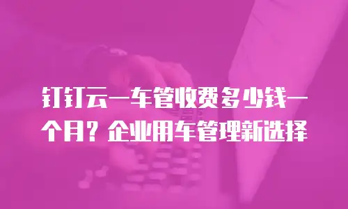 钉钉云一车管收费多少钱一个月？企业用车管理新选择