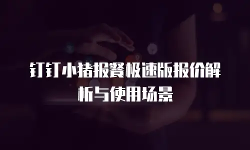 钉钉小猪报餐极速版报价解析与使用场景