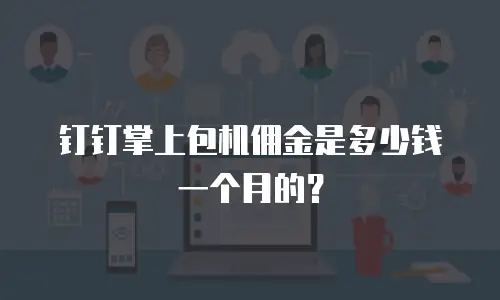 钉钉掌上包机佣金是多少钱一个月的？