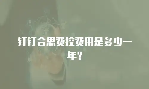 钉钉合思费控费用是多少一年？